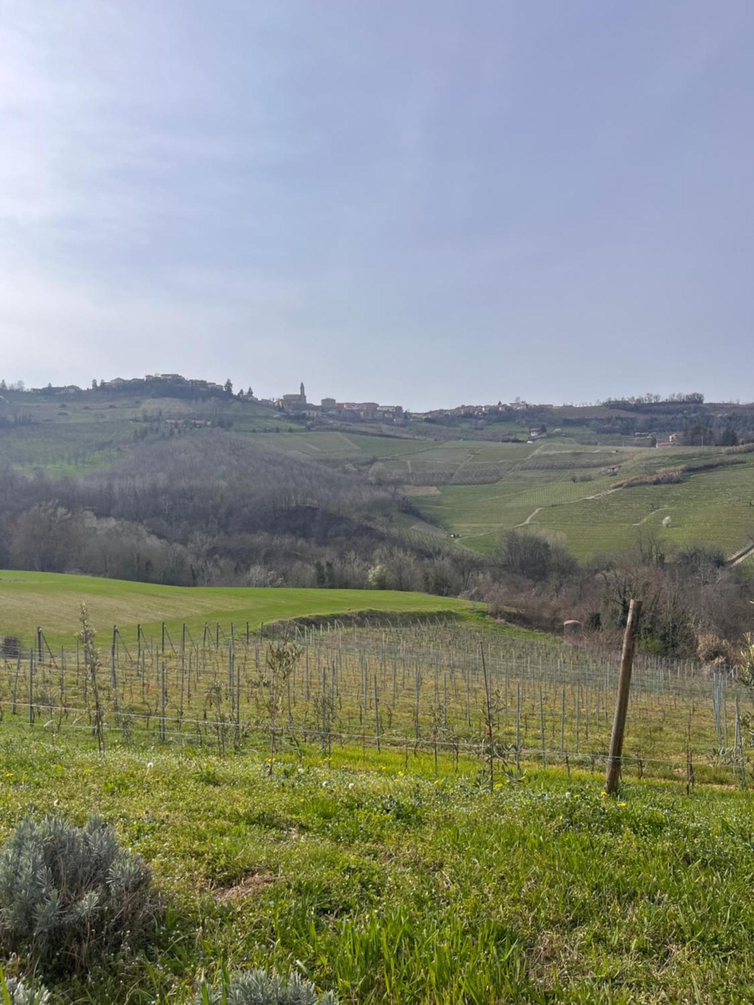 Le Cornici - Cascina Di Charme Diano dʼAlba Exterior foto